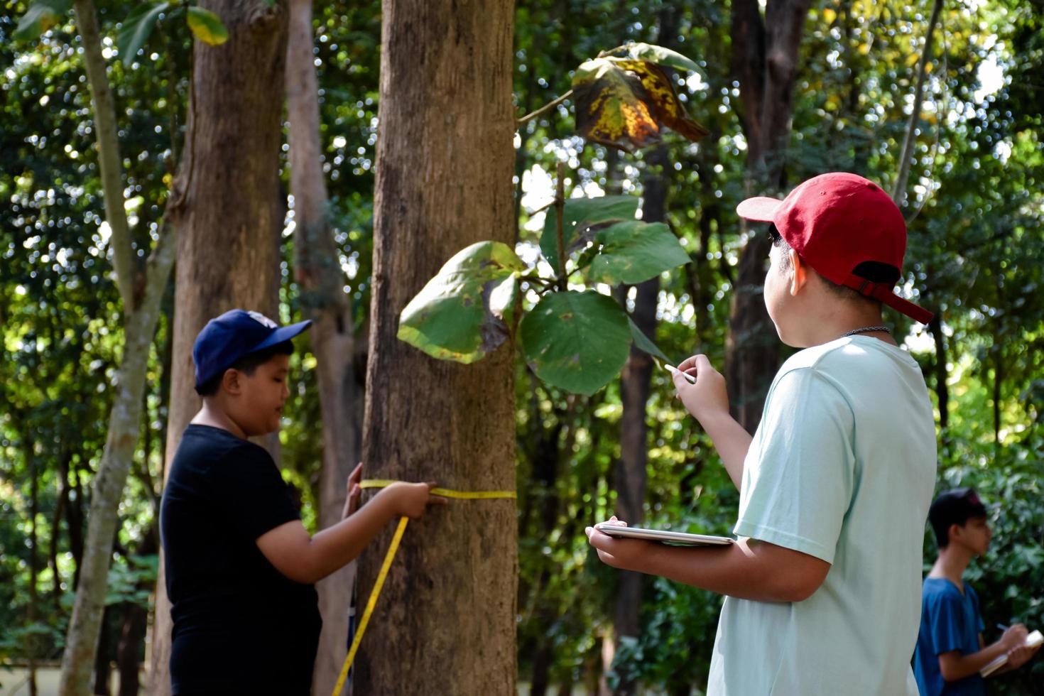Three asian boys're reading birds details and going to use binoculars to watch birds on the trees during summer camp, idea for learning creatures and wildlife animals outside the classroom. photo