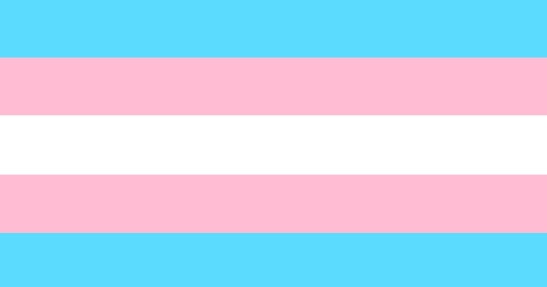 Transgender stripes art painting, transgender symbol, concept for celebrations of LGBTQ in pride month around the world. photo