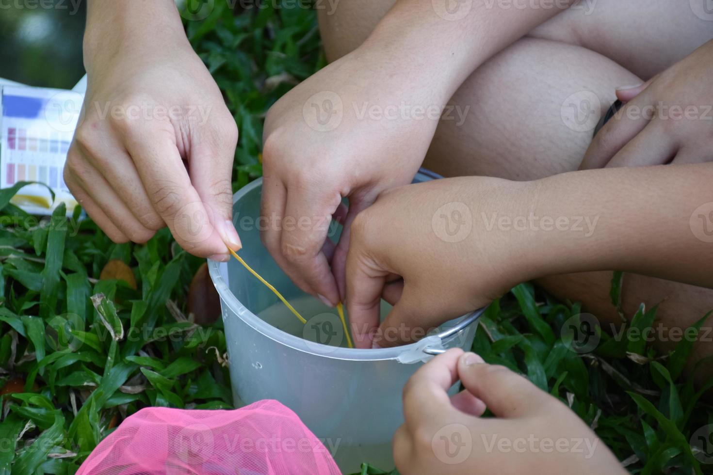 los estudiantes están experimentando y midiendo el ph del agua o la acidez y alcalinidad del agua para determinar si es apta para organismos vivos o si se puede consumir usando papel indicador. foto