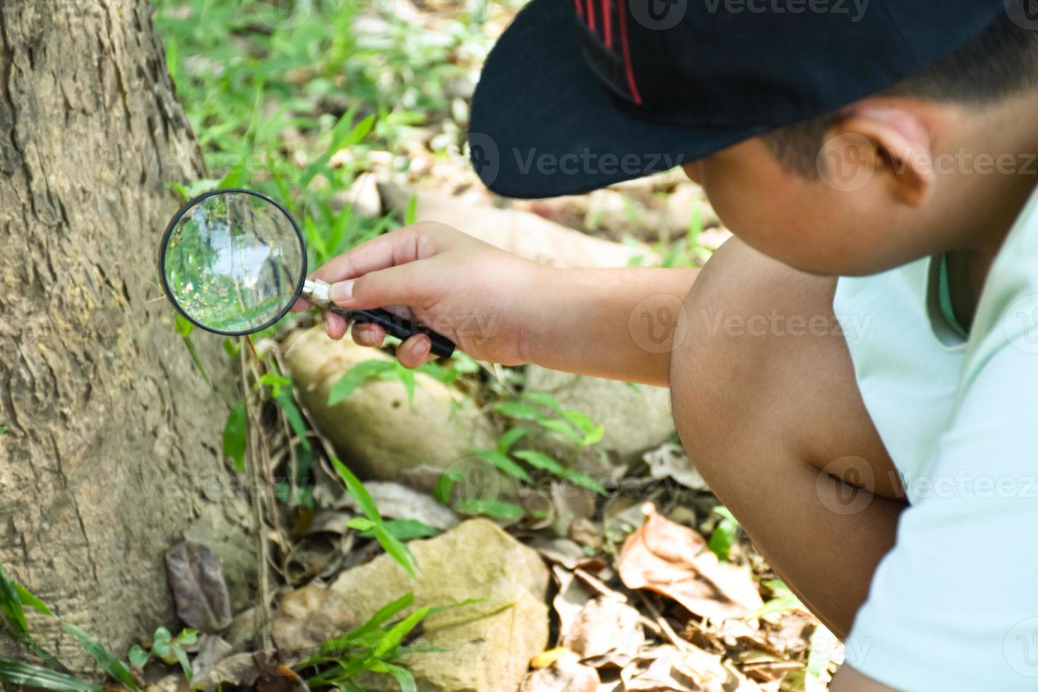 Asian boy holding a magnifying glass and looking at the tiny creatures under the tree to study terrestrial ecosystems, forest ecosystem to explore the creatures that live under the trees, soft focus. photo