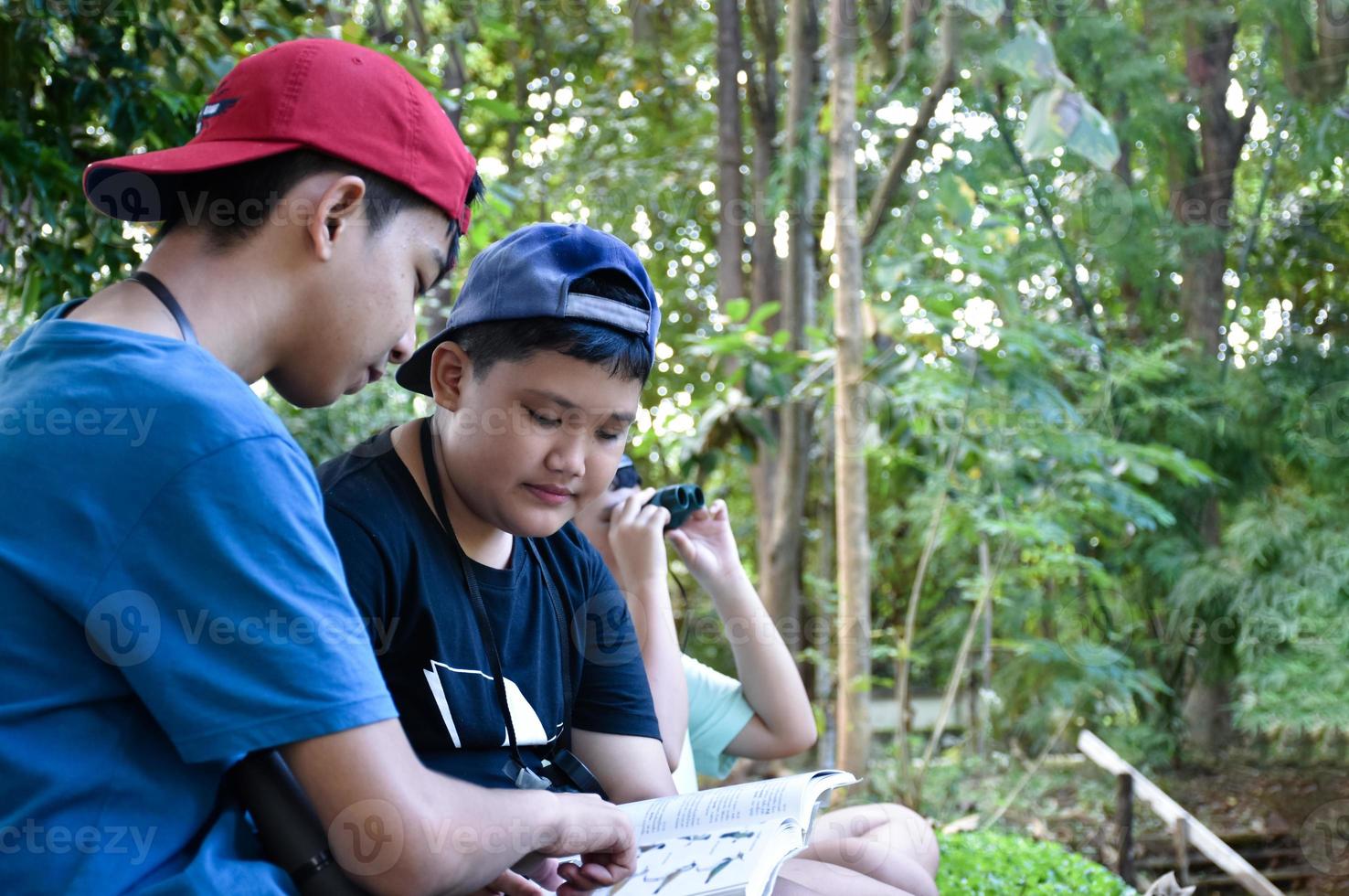Three asian boys're reading birds details and going to use binoculars to watch birds on the trees during summer camp, idea for learning creatures and wildlife animals outside the classroom. photo