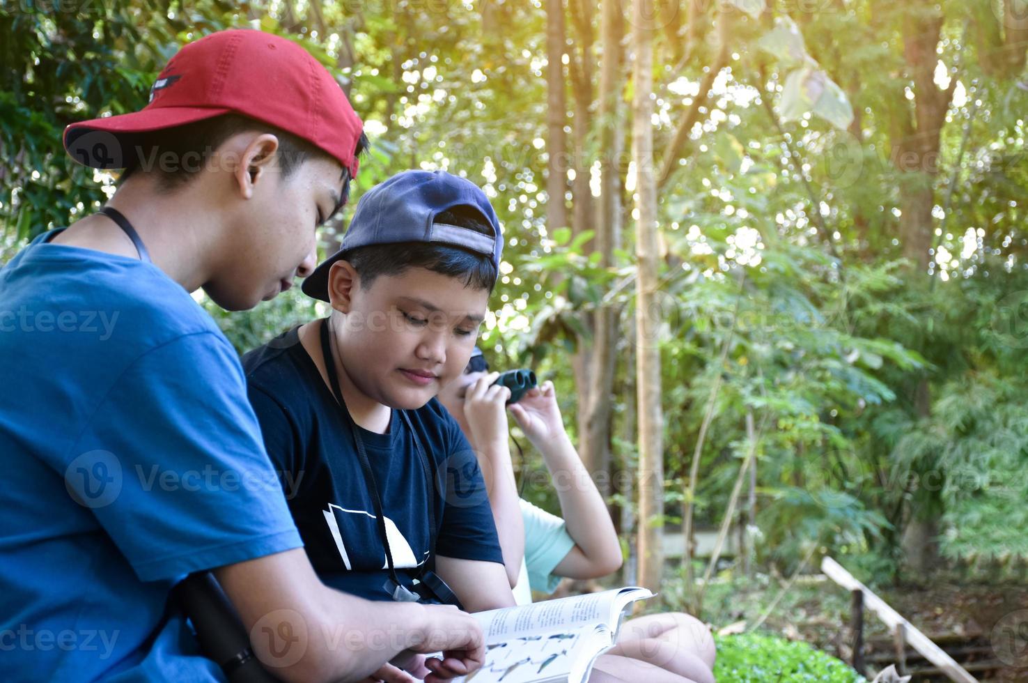 Three asian boys're reading birds details and going to use binoculars to watch birds on the trees during summer camp, idea for learning creatures and wildlife animals outside the classroom. photo