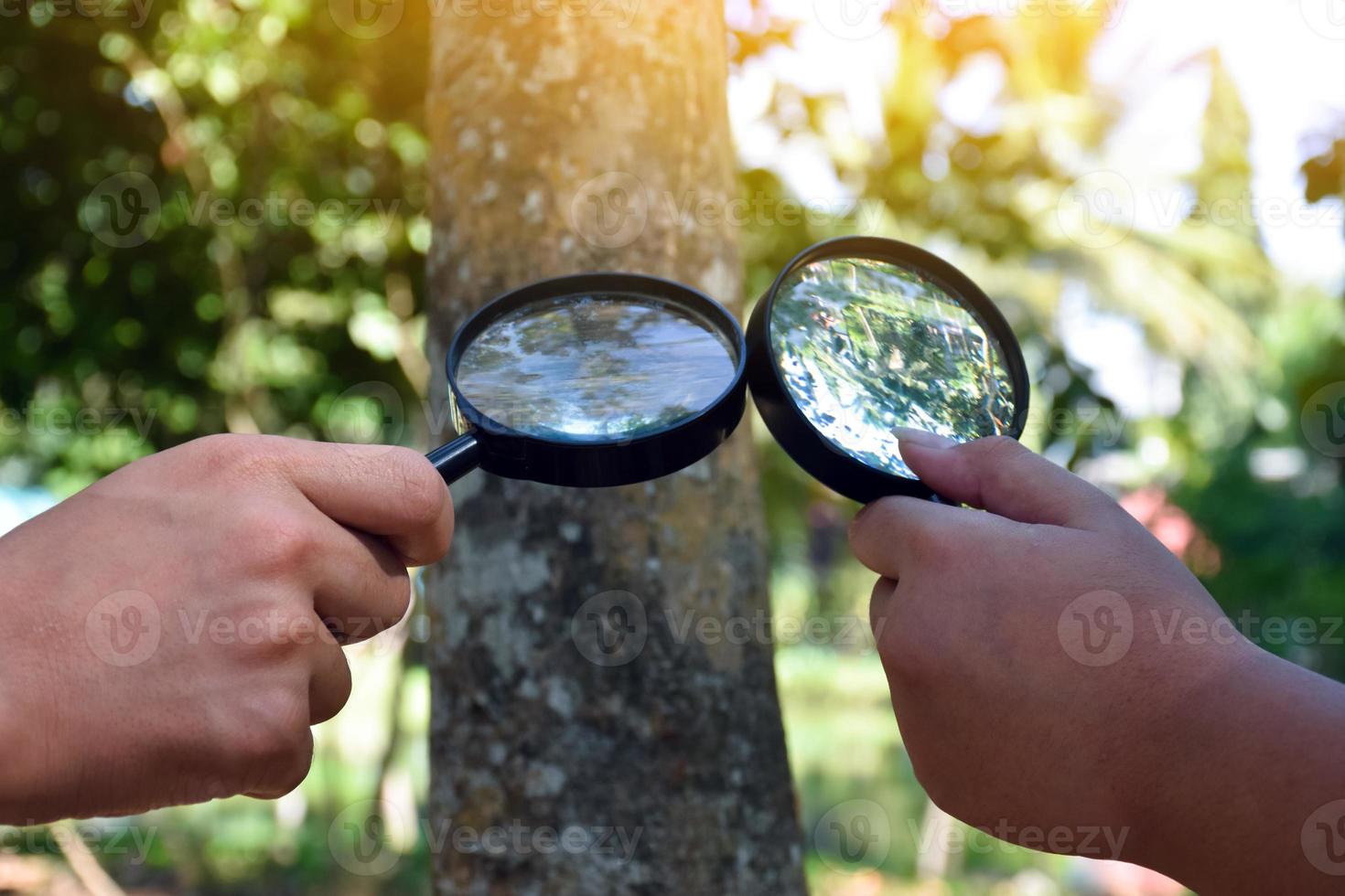 Asian boy holding a magnifying glass and looking at the tiny creatures
