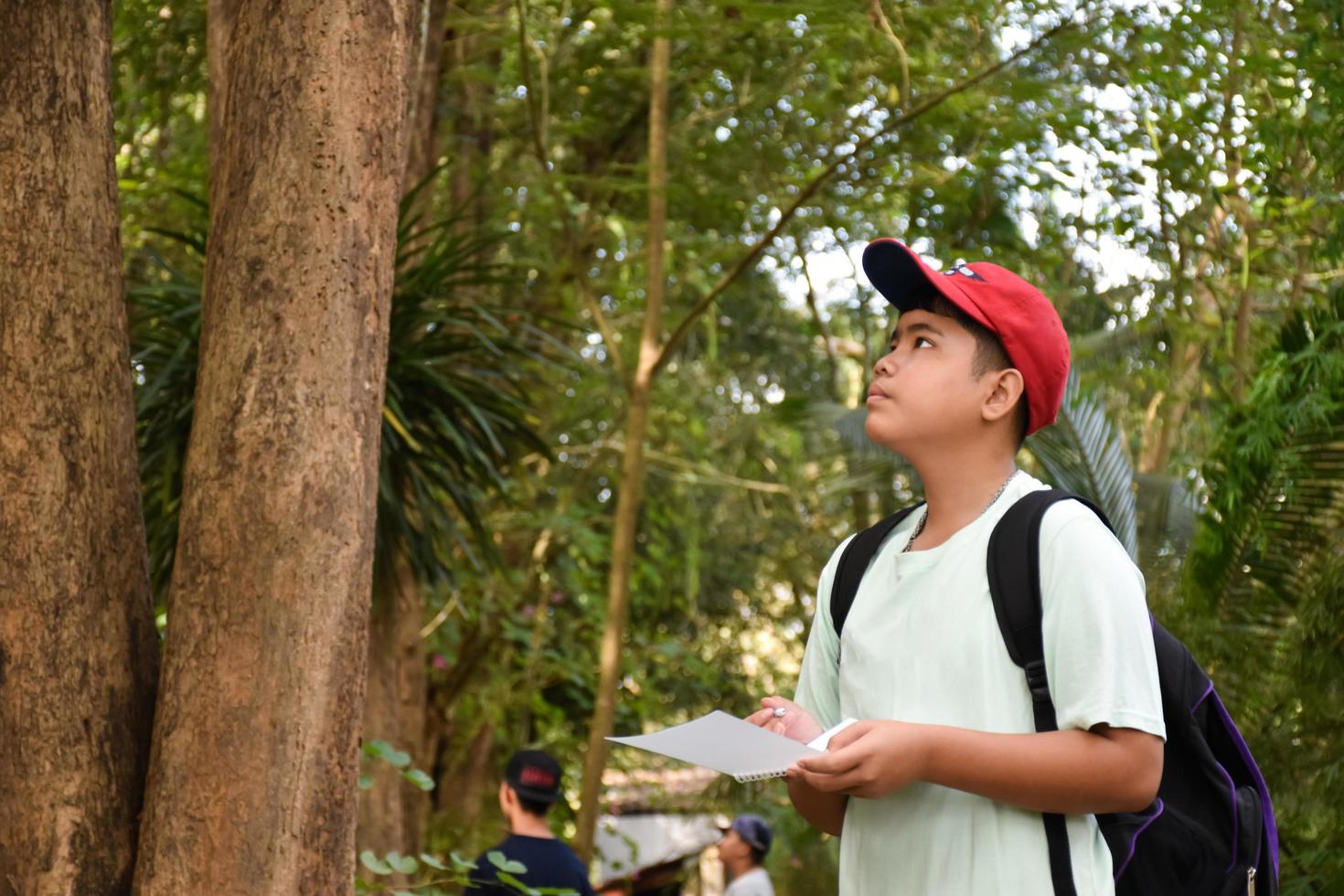 Three asian boys're reading birds details and going to use binoculars to watch birds on the trees during summer camp, idea for learning creatures and wildlife animals outside the classroom. photo