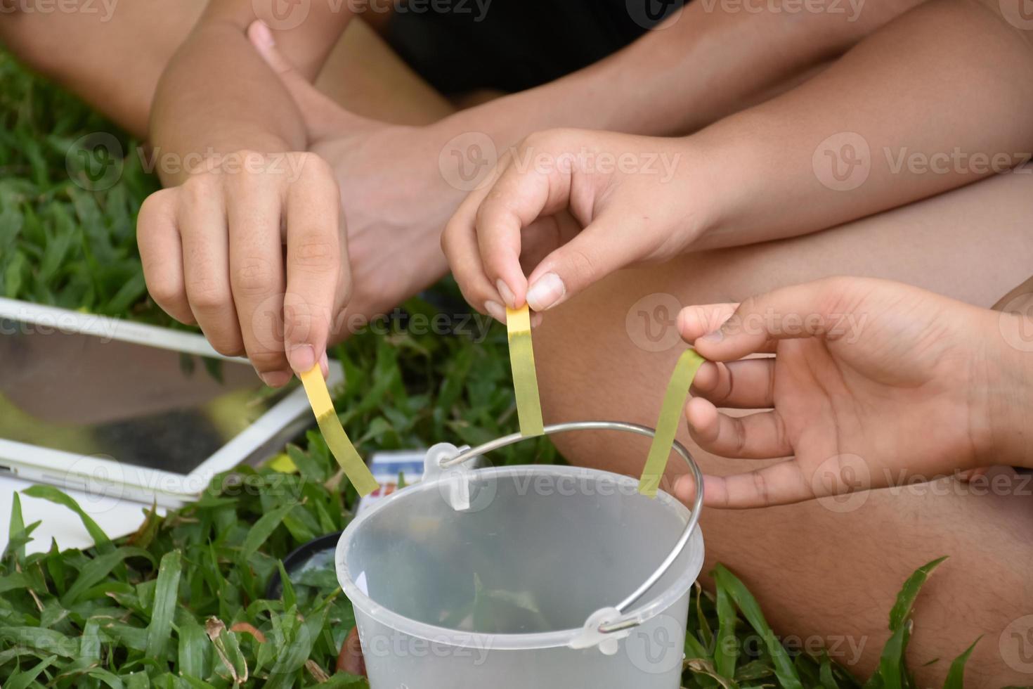 Students are experimenting and measuring the pH of water or the acidity and alkalinity of water to determine whether it is suitable for living organisms or can it be consumed by using indicator paper. photo
