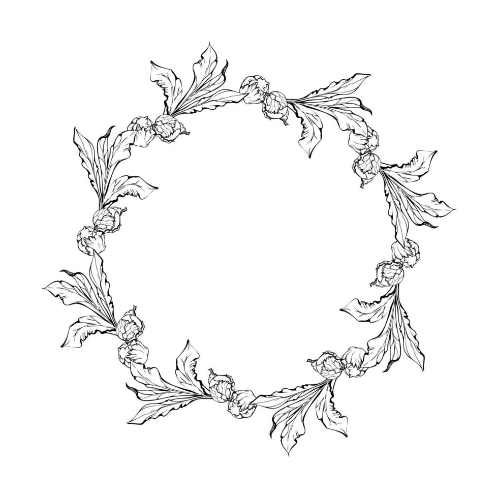 Hand drawn vector circle frame wreath arrangement with peony flowers, buds and leaves. Isolated on white background. Design for invitations, wedding or greeting cards, wallpaper, print, textile