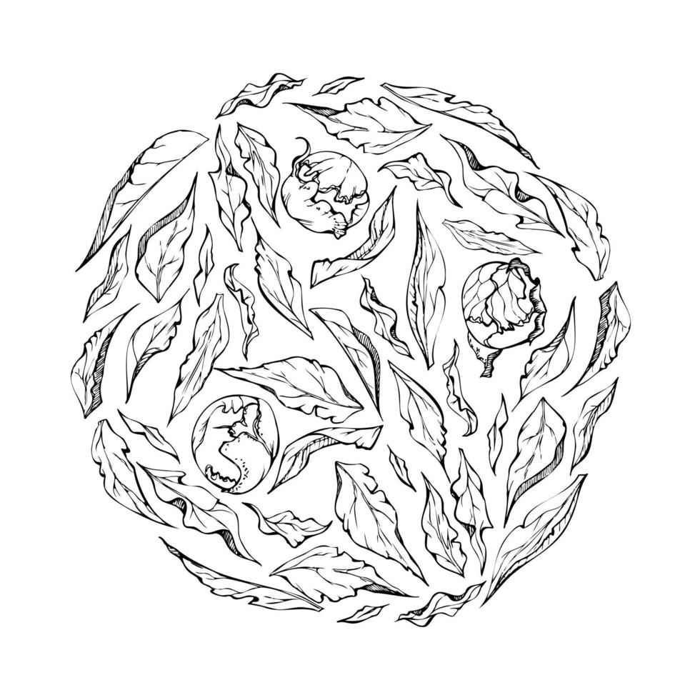 Hand drawn vector circle frame wreath arrangement with peony flowers, buds and leaves. Isolated on white background. Design for invitations, wedding or greeting cards, wallpaper, print, textile