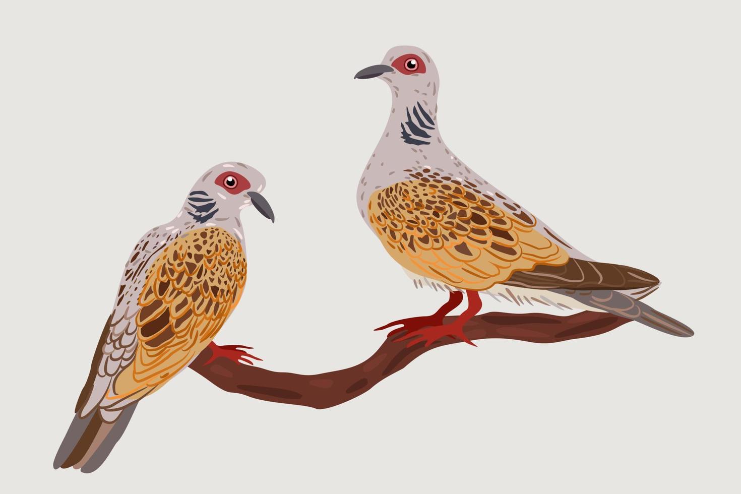 Vector isolated illustration of two turtle doves on a branch.