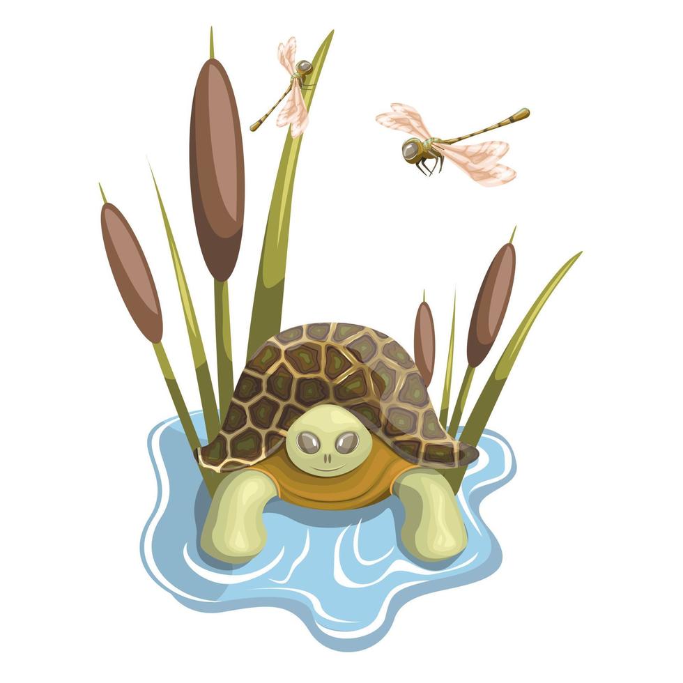 Vector image of a turtle swimming in its pond