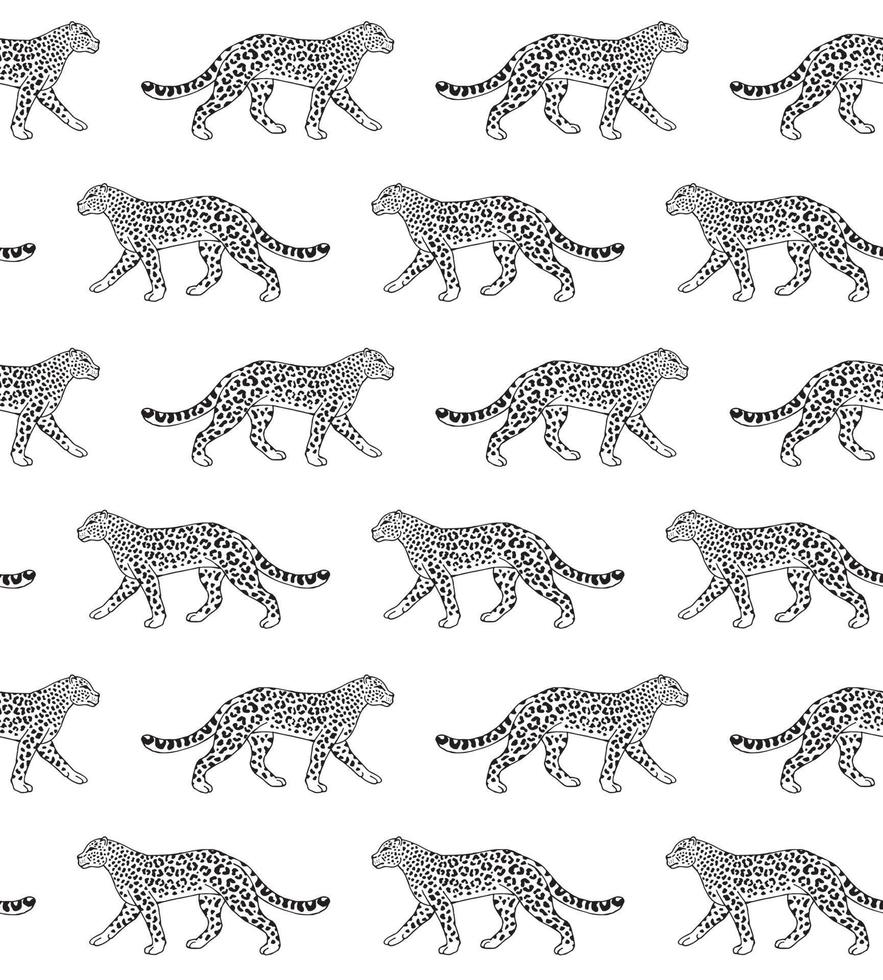Seamless pattern of leopard vector