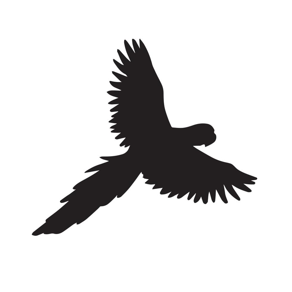 Macaw parrot silhouette vector