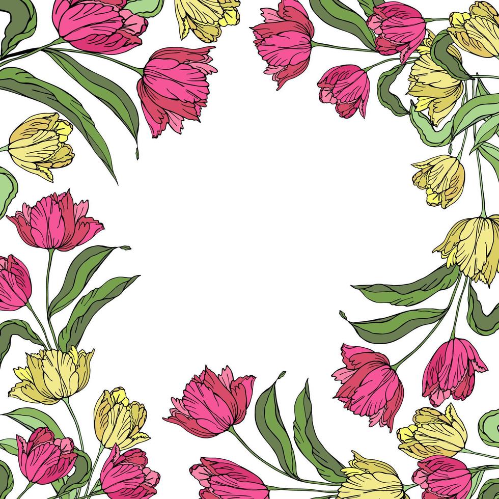 Tulips flower hand drawn vector