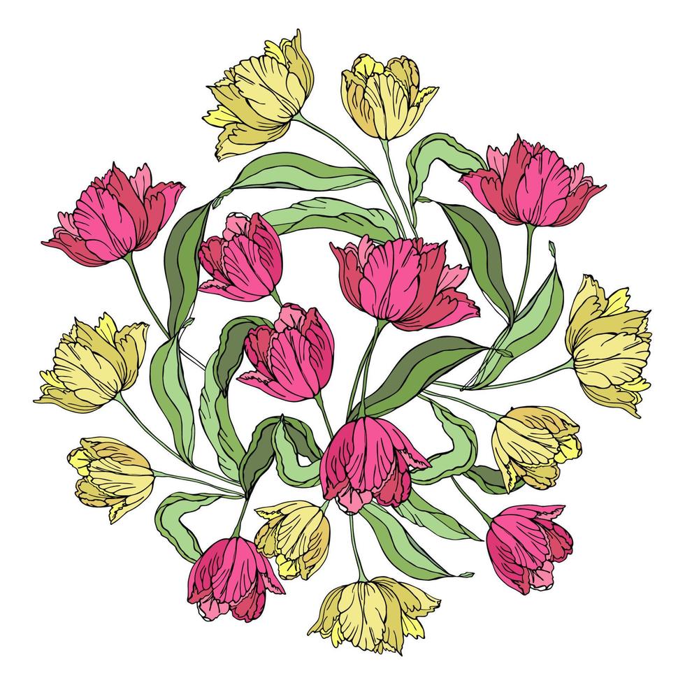 Tulips flower hand drawn vector