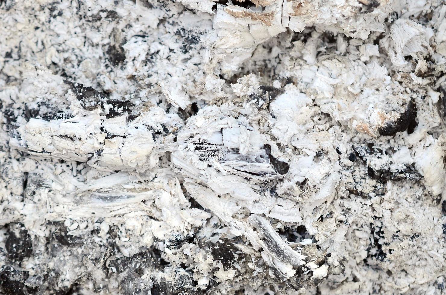 Pile of ashes after the fire went out grunge background texture photo
