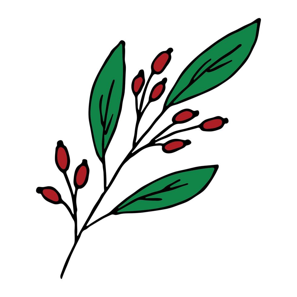 Hand drawn branch with berries and leaves. Christmas doodle. Winter clipart. Single design element vector