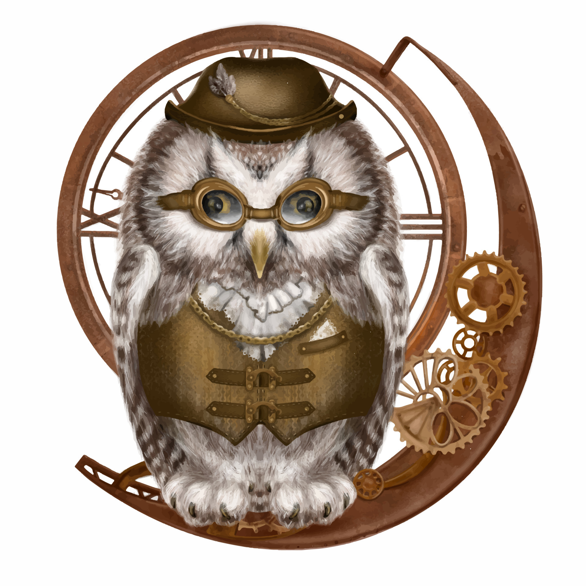 Cute watercolor owl in a steampunk style business suit on a transparent  background. Watercolor drawing made by hand. 14908698 Vector Art at Vecteezy