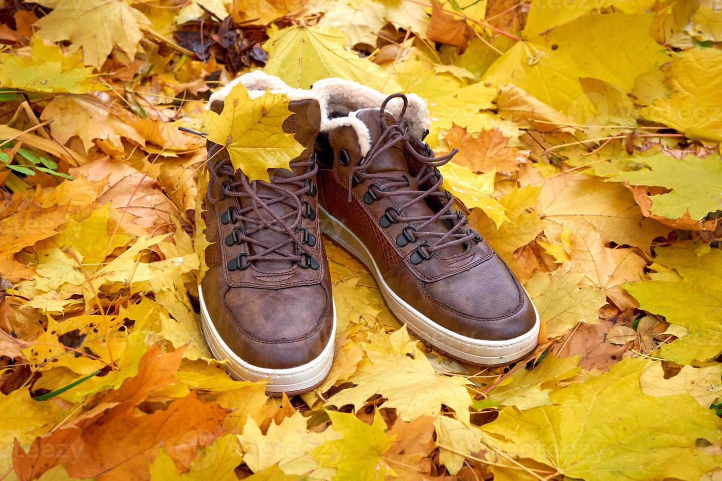 zapatos de hombre cálidos preparados para la estación fría y lluviosa, de pie sobre hojas caídas. foto