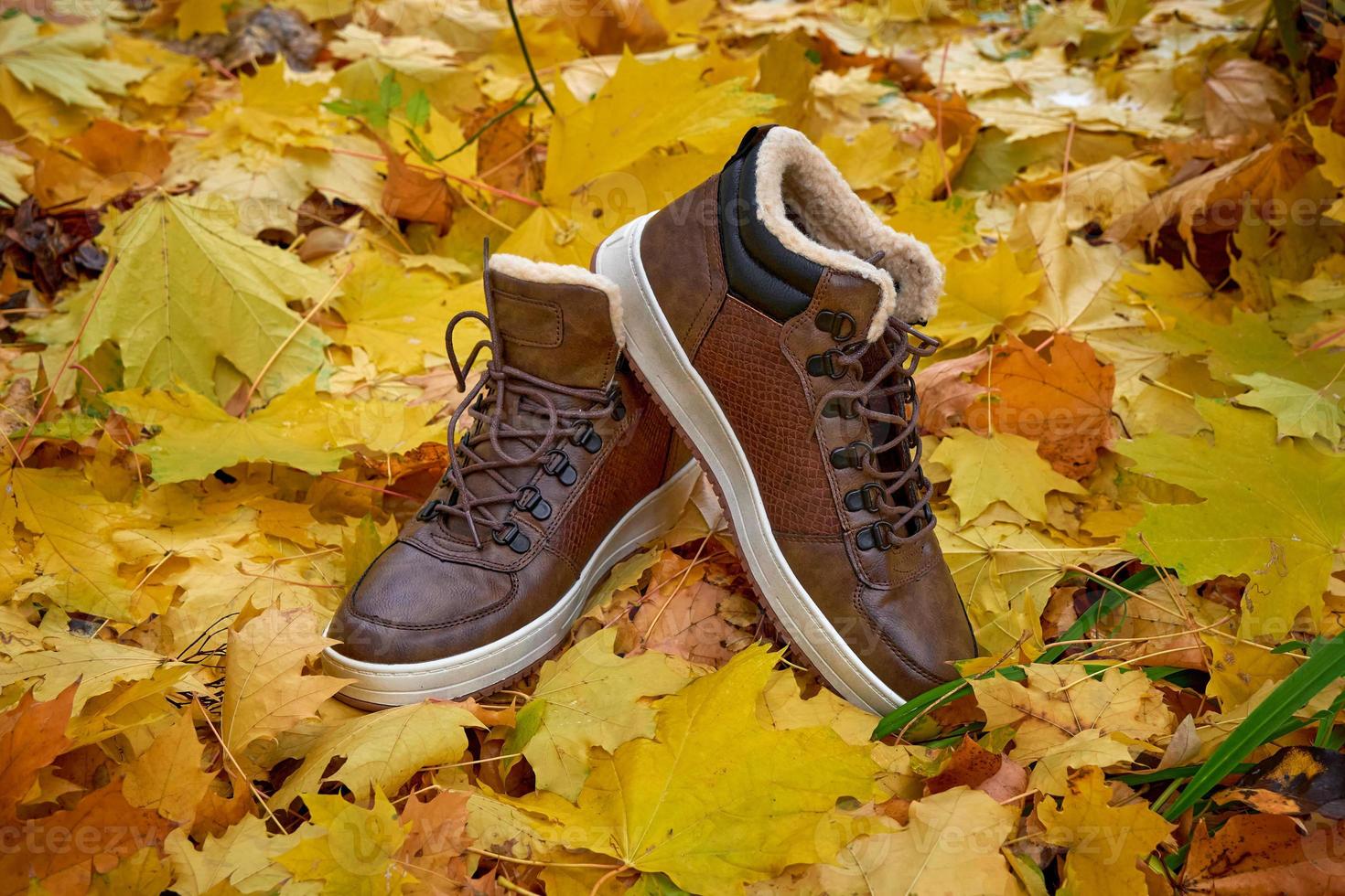 A pair of warm men's leather boots stand on fallen leaves. photo