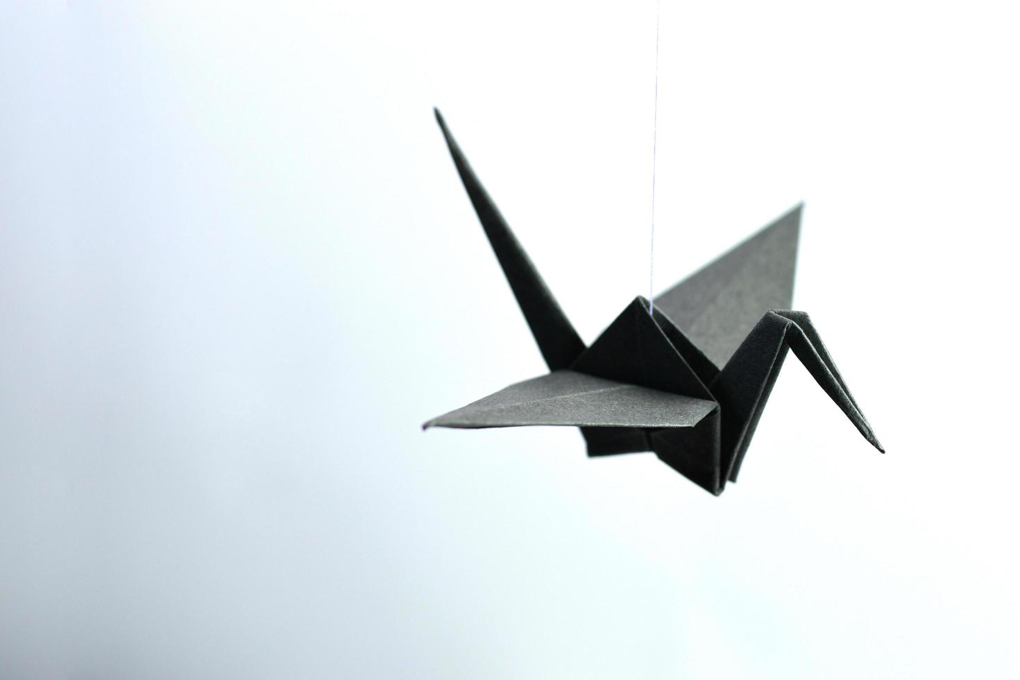 black origami crane top view photo