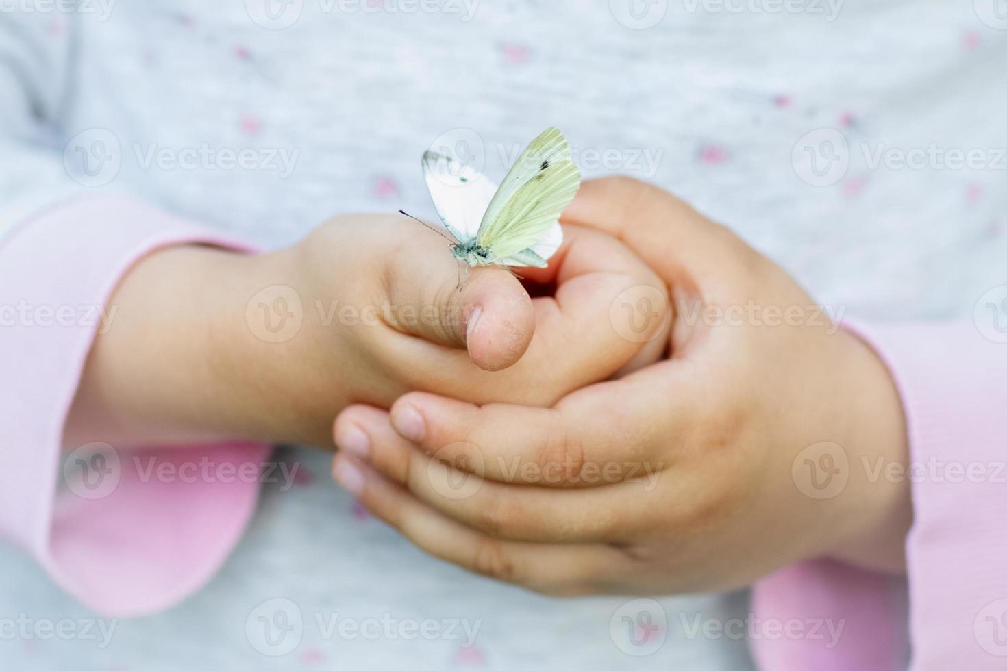 concepto de primavera con un primer plano de un niño sosteniendo cuidadosamente a la dama mariposa. relación y cuidado entre niños y animales. cuidado de la nueva vida foto