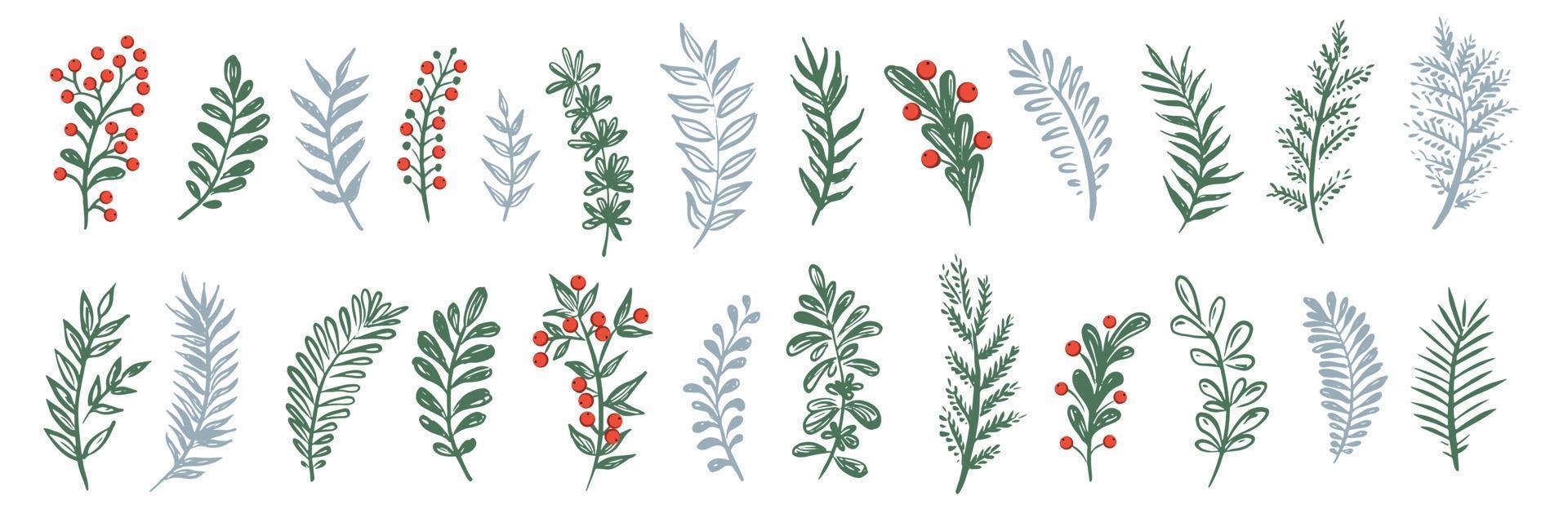 Branches collection hand drawn, vector. vector