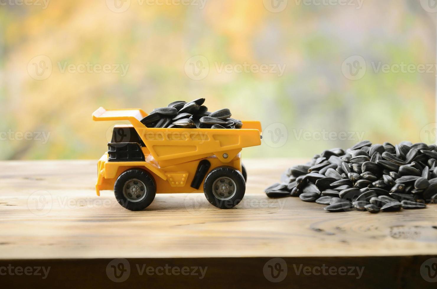 A small yellow toy truck is loaded with sunflower seeds next to a small pile of sunflower seeds. A car on a wooden surface against a background of autumn forest. Transportation of sunflower seeds photo