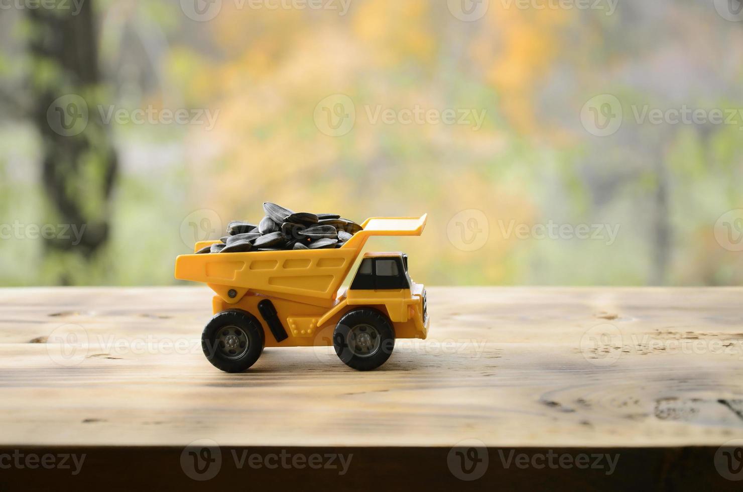 A small yellow toy truck is loaded with sunflower seeds. A car on a wooden surface against a background of autumn forest. Extraction and transportation of sunflower seeds photo