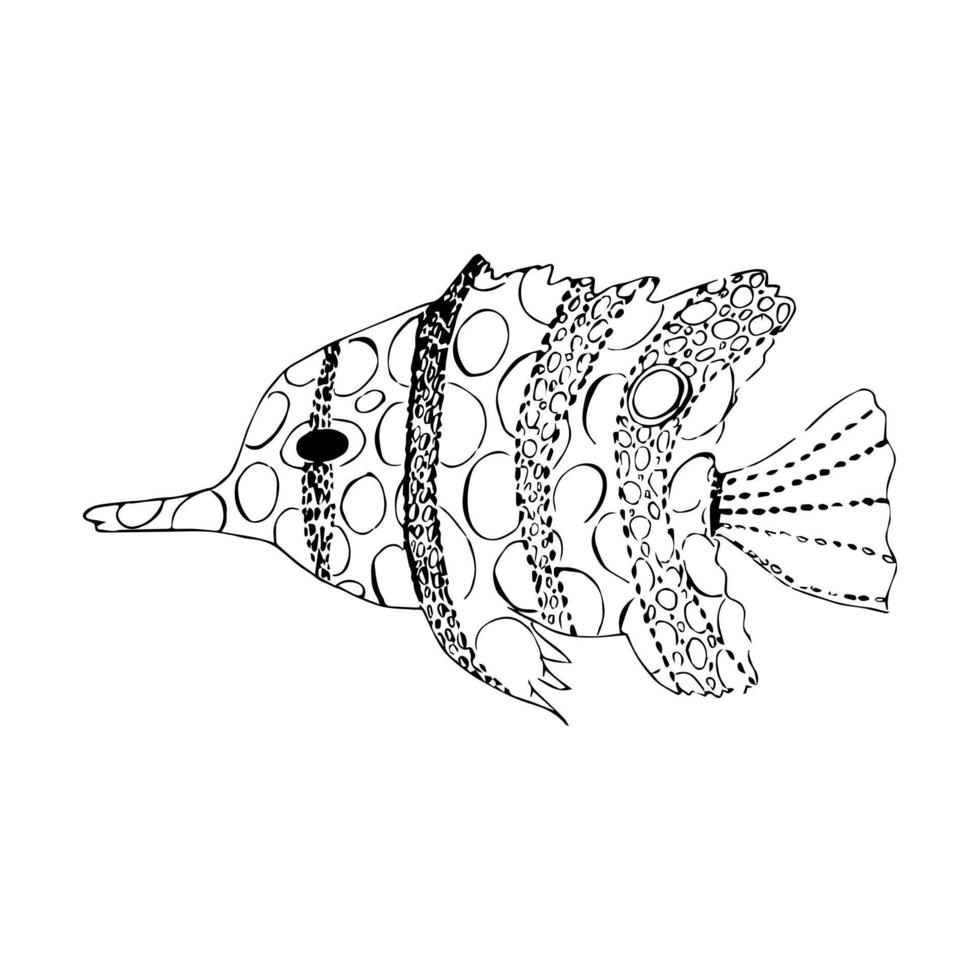 Hand drawn vector illustration of fish isolated on white background.