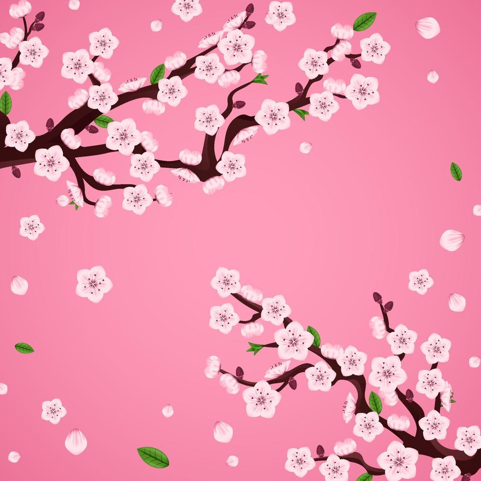 Peach Blossom Background vector