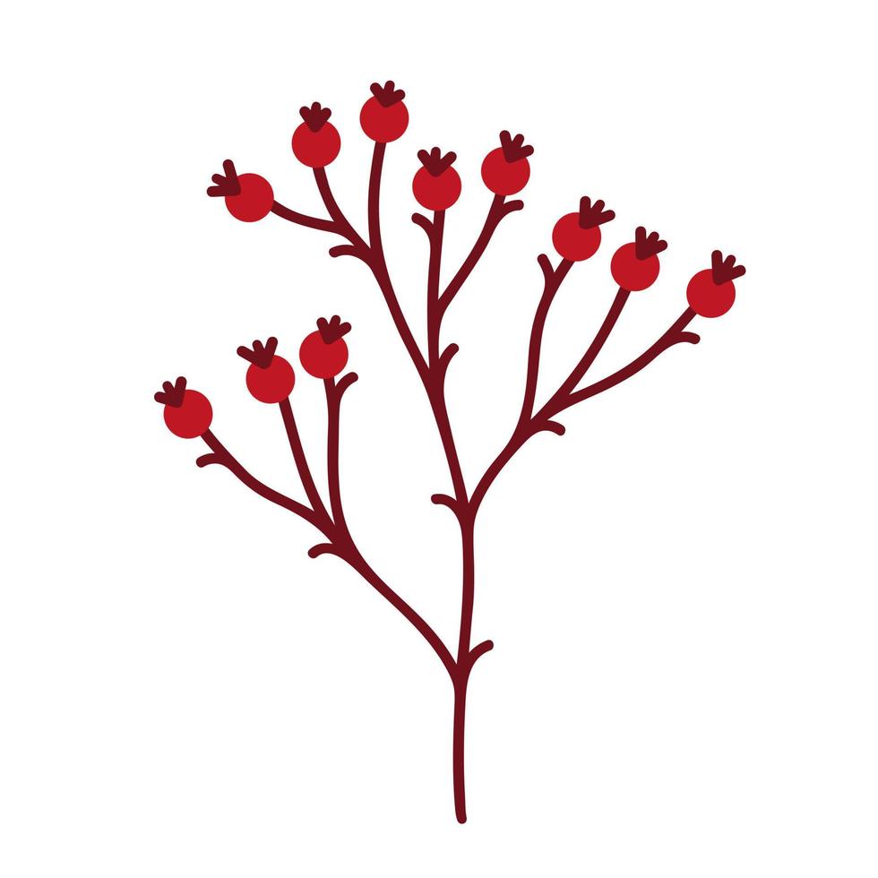 icono de vector de rama de rosa mosqueta. una ramita desnuda de una planta silvestre o de jardín con bayas rojas maduras. ilustración dibujada a mano del arbusto de navidad aislado en blanco. ramita de árbol del bosque. clipart para tarjetas, cosméticos