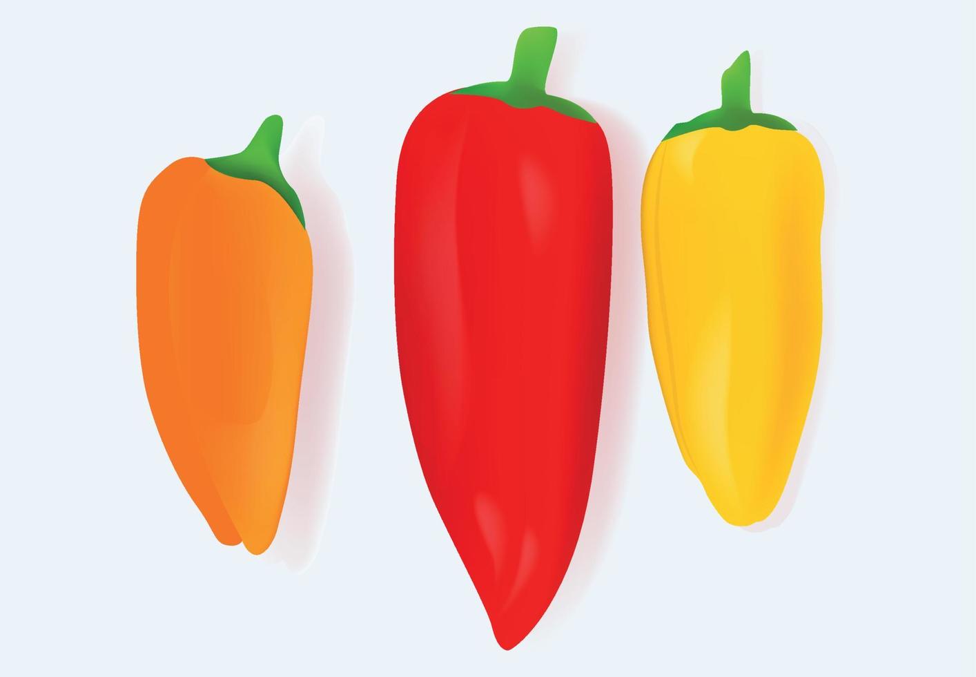 Pepper red yellow orange vector