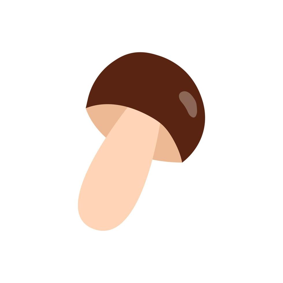Porcini mushrooms isolated on the white background. vector