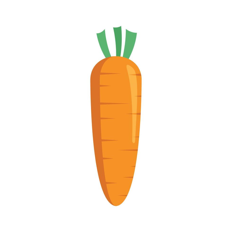 Organic carrot icon flat isolated vector