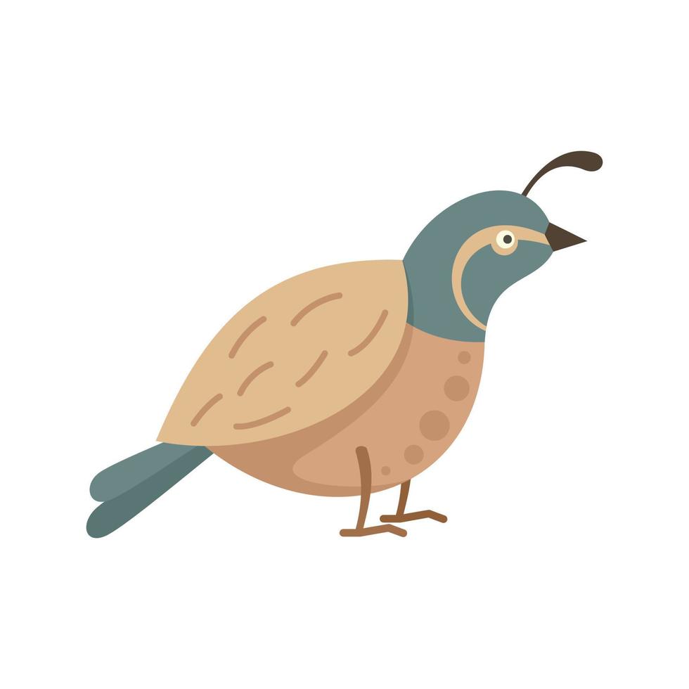 Quail farm icon flat isolated vector