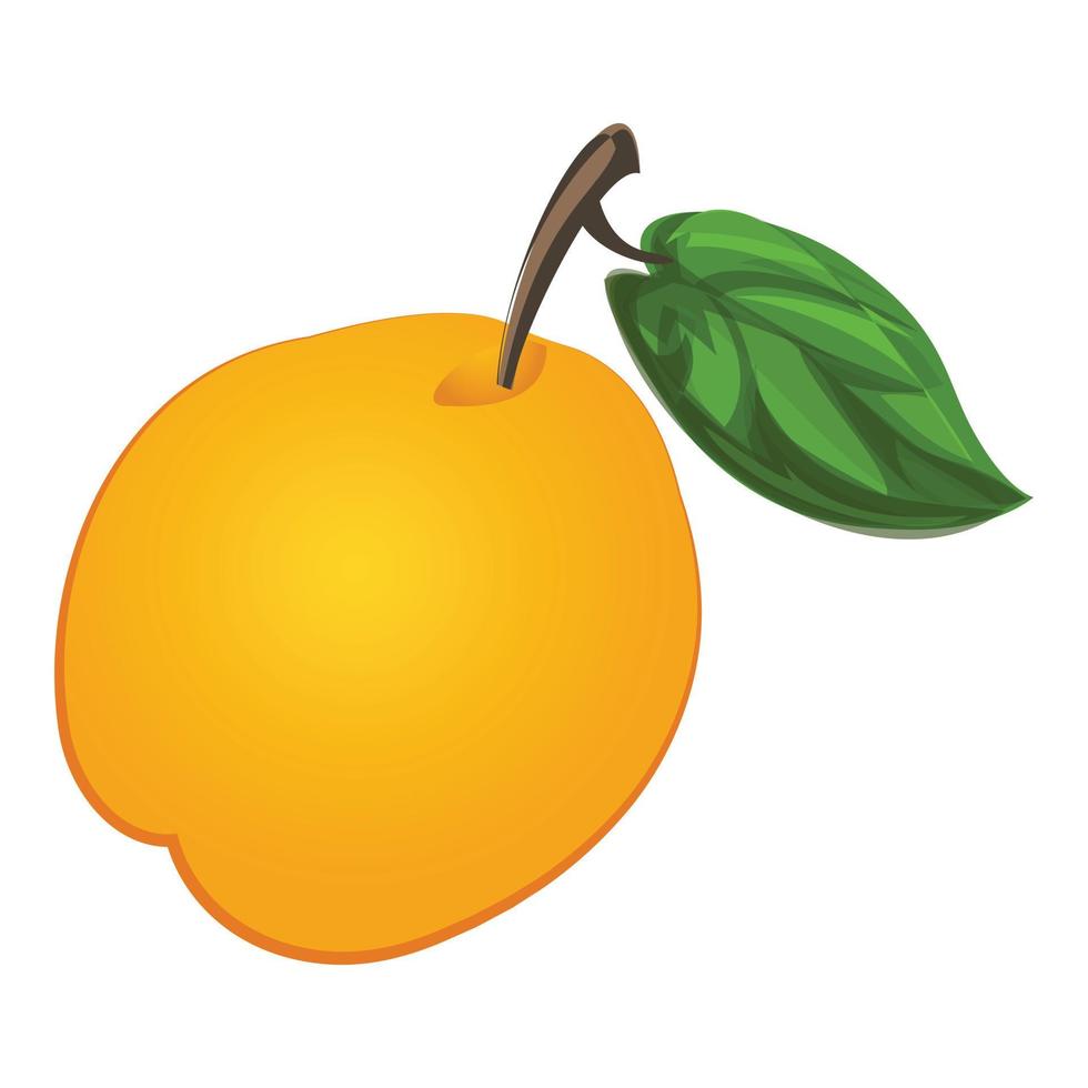 Whole apricot icon cartoon vector. Tree peach vector