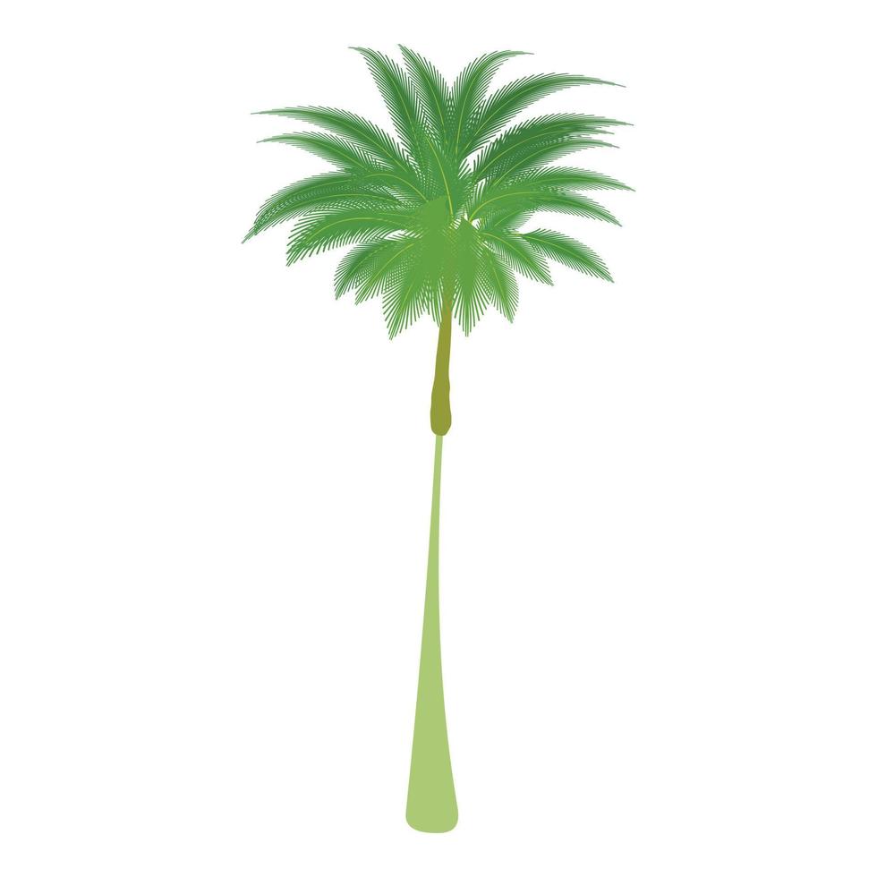 Thin palm tree icon, cartoon style vector