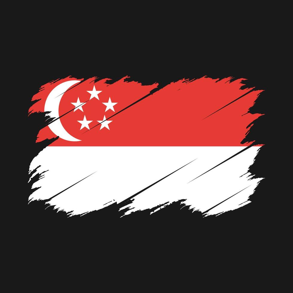 Singapore Flag Brush vector