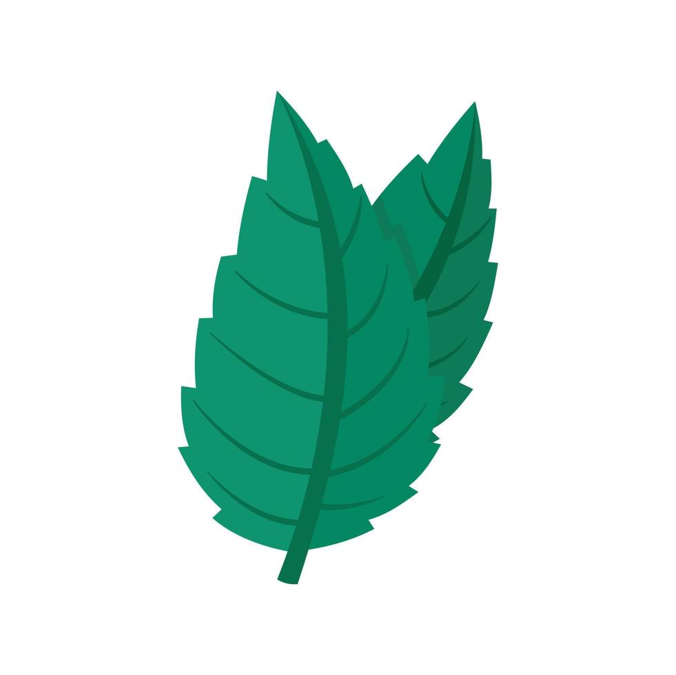 eco menta icono plano aislado vector