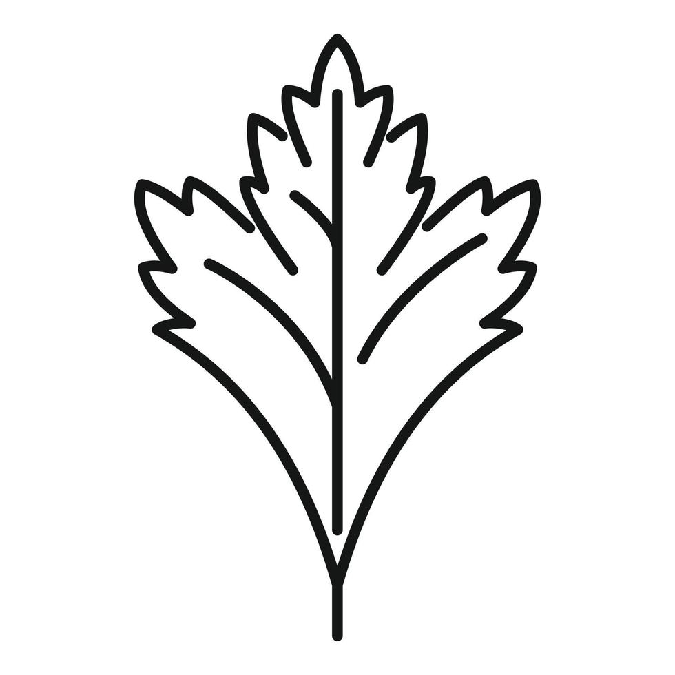 vector de contorno de icono de planta de perejil. hierba de hoja