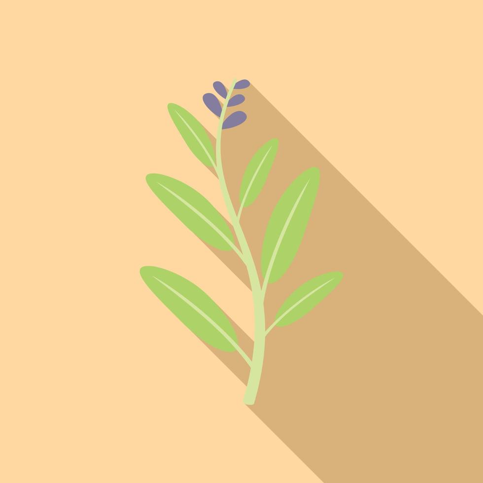 Sage salvia icon flat vector. Leaf herb vector