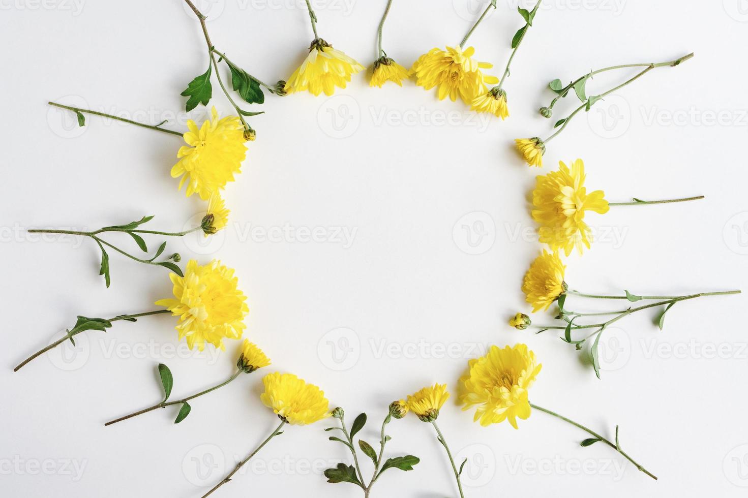 Yellow flowers round frame on white background, chrysanthemum floral wreath, copy space photo