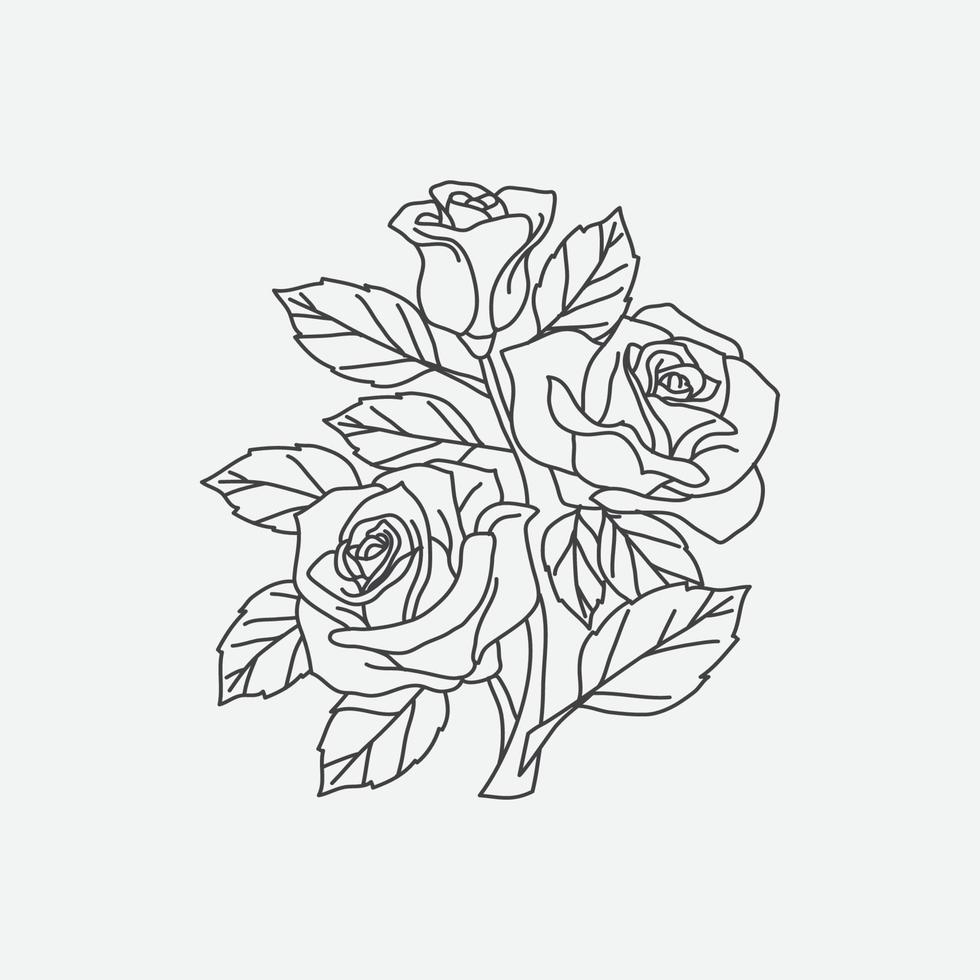 rose icon linear illustration, rose logo vector, rose drawn vector