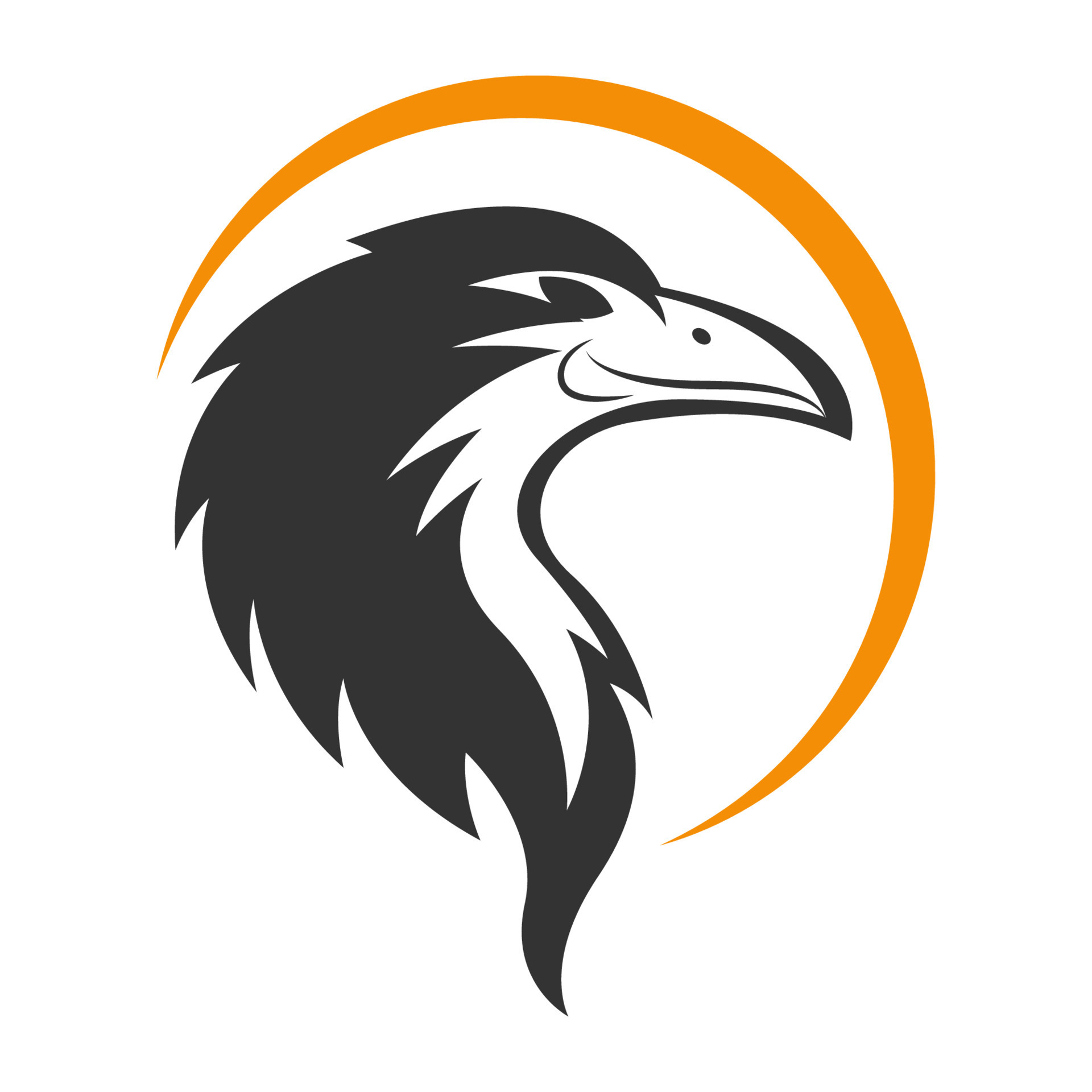 Raven logo icon design illustration 14919237 Vector Art at Vecteezy