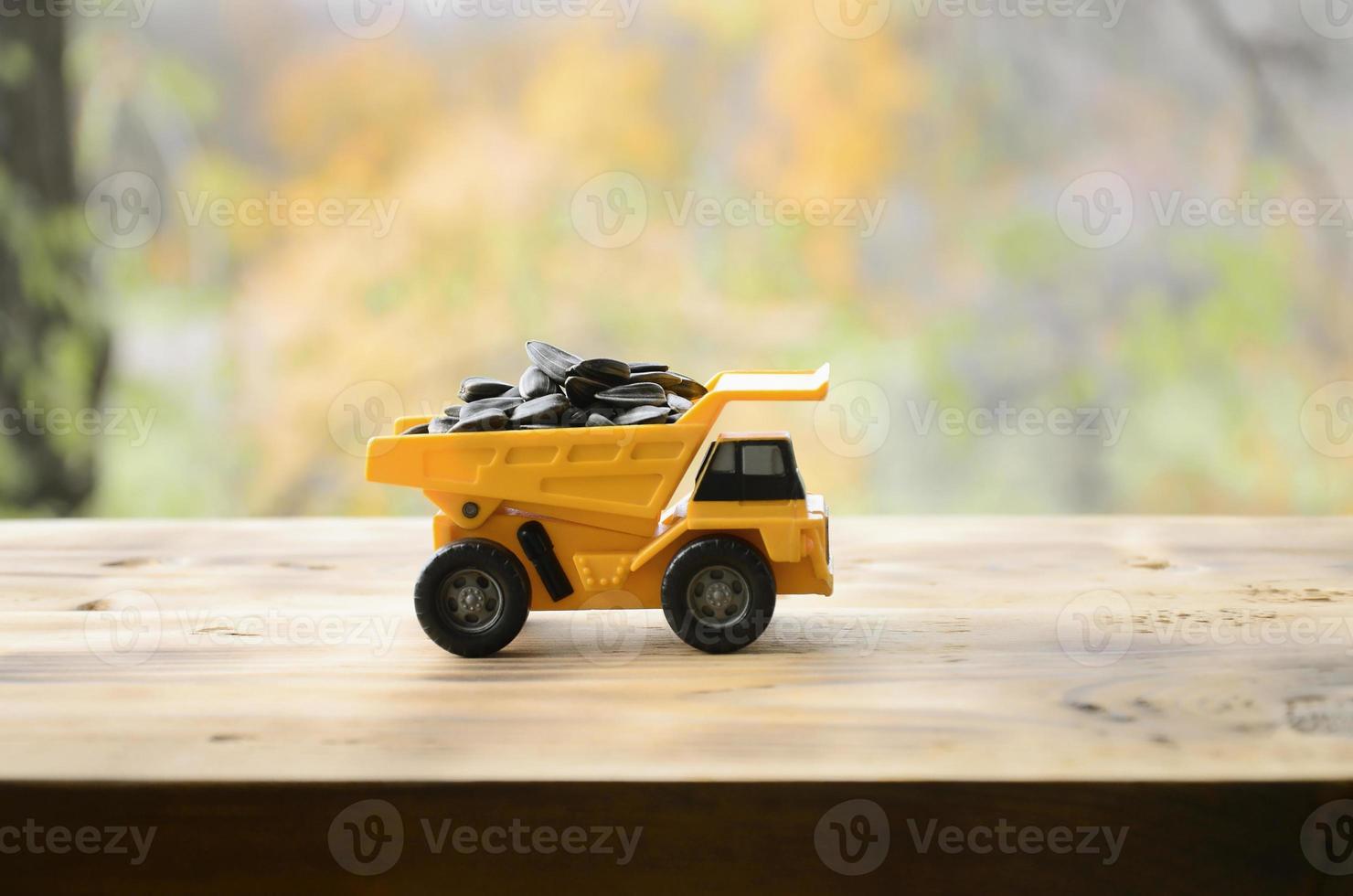 A small yellow toy truck is loaded with sunflower seeds. A car on a wooden surface against a background of autumn forest. Extraction and transportation of sunflower seeds photo