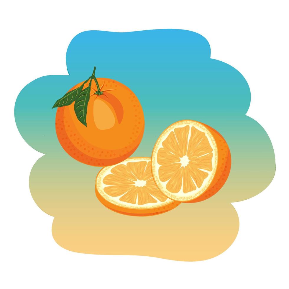 naranja. naranjas, en gajos vector