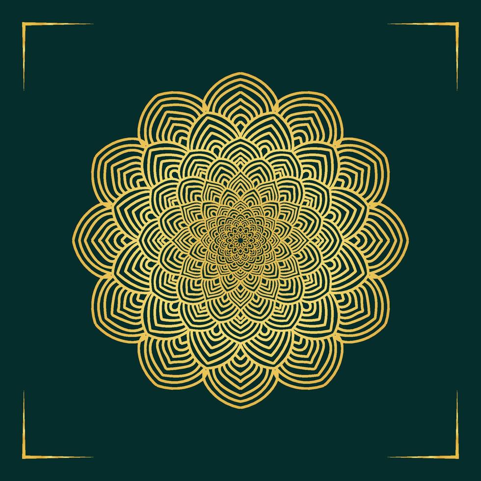 luxury ornamental mandala design background vector