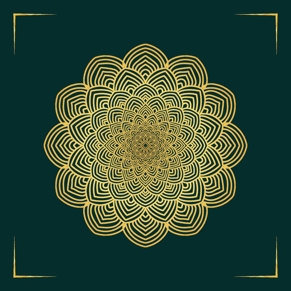 luxury ornamental mandala design background vector