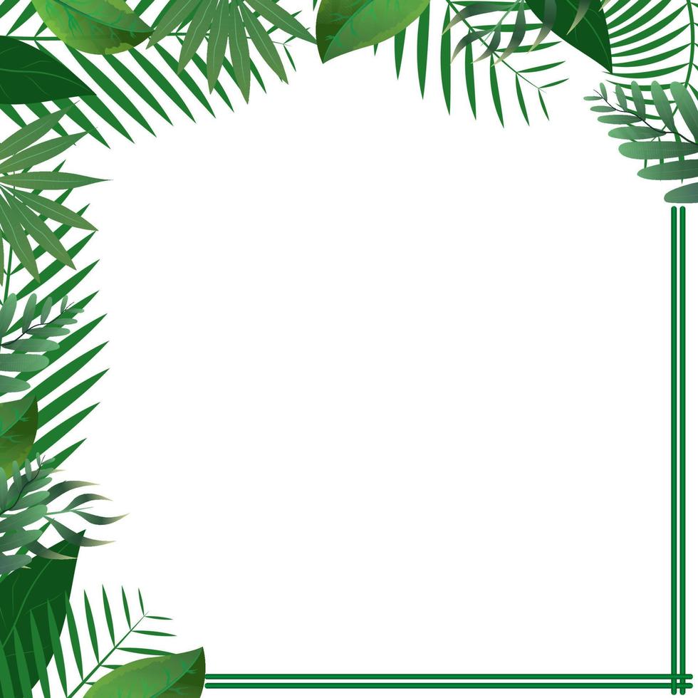 marco cuadrado de hojas tropicales verdes sobre fondo blanco. tarjetas de invitación de vector con ramas de ramitas de hierbas y marcos de borde de esquinas. Ilustración de vector de banner de fiesta de verano. concepto de marco tropical.