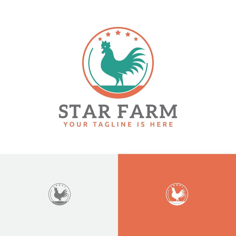 estrella pollo gallo aves de corral animal granja logo vector