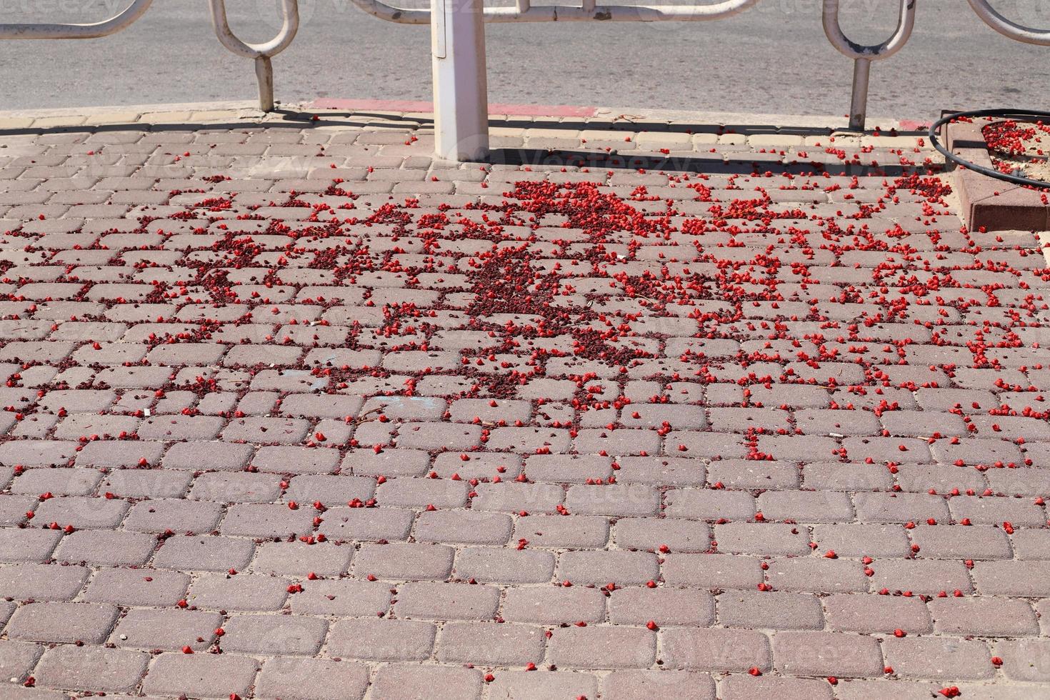 Pavement along the road for pedestrian traffic. photo